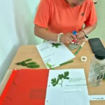 312688 - Aspecte Stagiu Pădurar clasa a XI-a B (mai - iunie 2026) - Liceul Tehnologic Pucioasa - Asociaţia DREPT - Drepturi, Respect, Educaţie pentru Toţi - www.asociatiadrept.ro